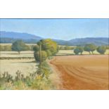 Vita Gollancz (1926-2009), Fields Near Wigmore I, oil on canvas, H.46cm W.60cm