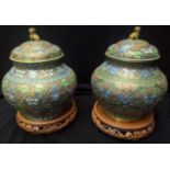 Two Chinese late 19th century cloisonne pots, with lids, Dog of Fo finials, raised on later hardwood