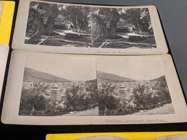 A collection of late 19th/early 20th century photographic stereocards, scenes including the Garden - Image 5 of 8