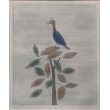 Keiko Minami (Japanese, 1911-2004), Aigrette, etching with aquatint, signed in pencil, numbered 14/