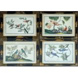 A set of four Chinese watercolours of birds on rice paper, within black lacquered frames, each H.