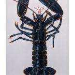 Charlotte Knox (British, b.1951), Lobster, 1988, watercolour, H.27cm W.20cm