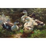 ALEXANDER KOESTER(Bergneustadt 1864–1932 München)Vier Enten an einem Teich.Öl auf Leinwand.Unten