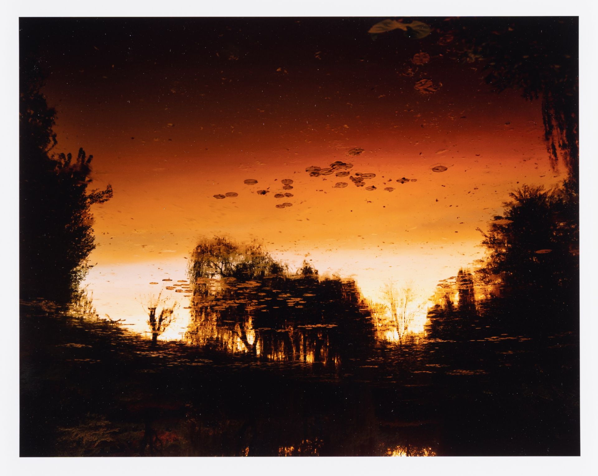 Elger Esser – Nocturnes à Giverny