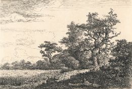 Jacob Van Ruisdael