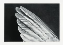 Robert Longo