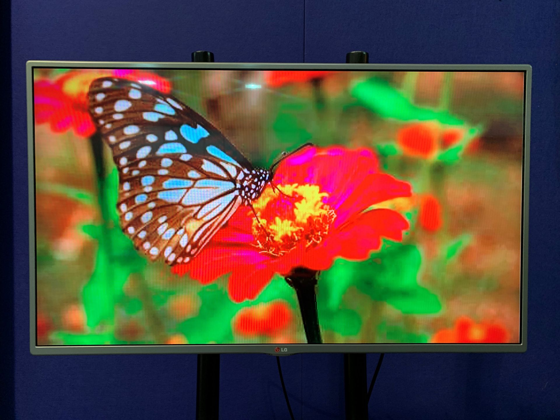 LG 42" 1920 X 1080 LED Screen with Wall Mount, IEC and Remote Control,2 x HDMI,USB, For Flightcase