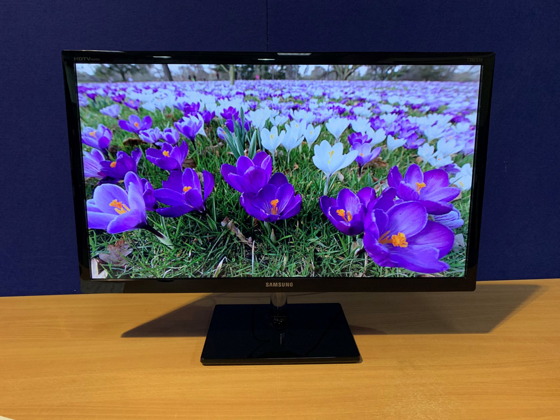 Samsung 28" 1920 X 1080 LED Screen with Wall & Desk Mount, Power Supply and Remote Control, 2 x