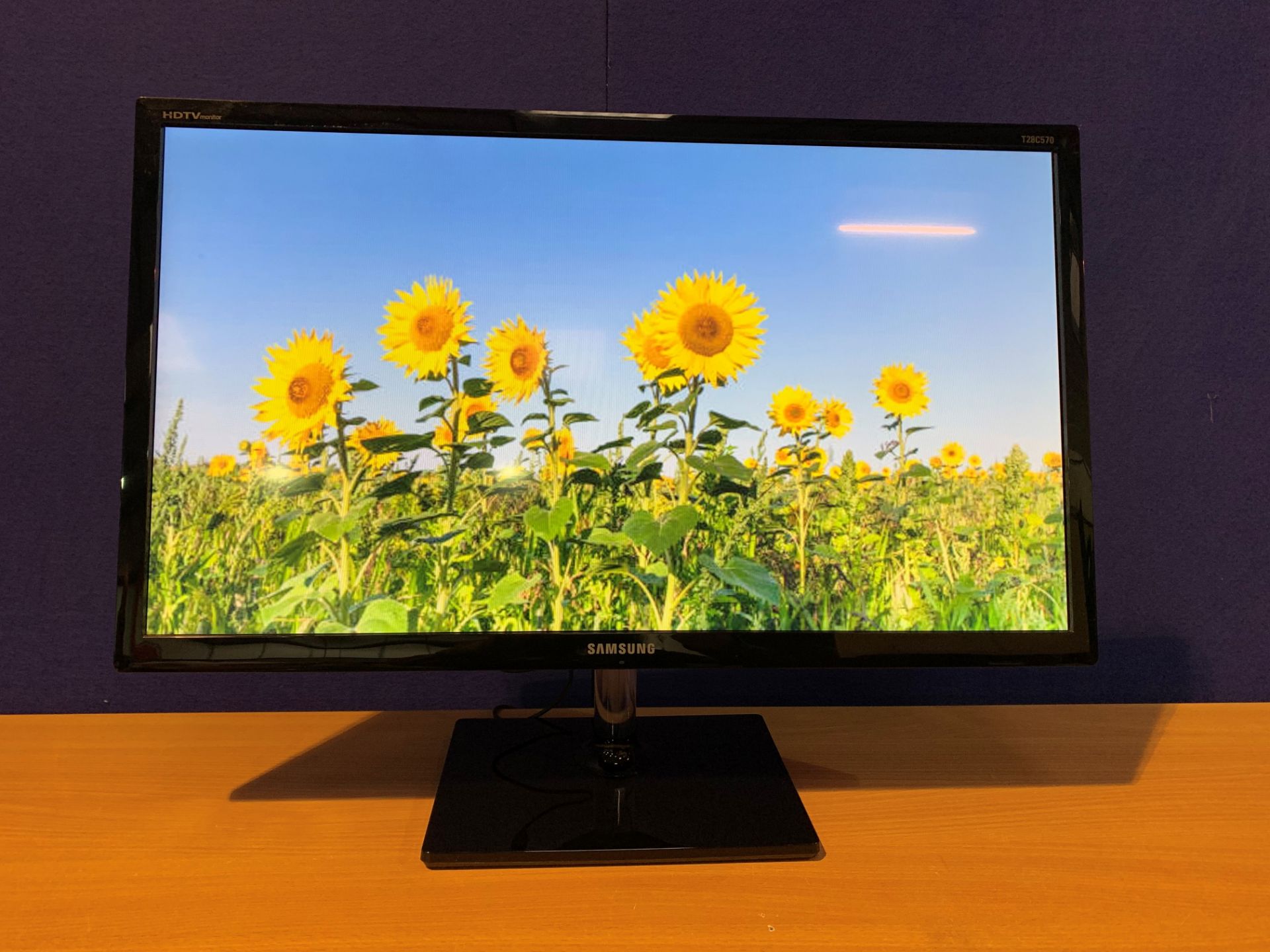 Samsung 28" 1920 X 1080 LED Screen with Wall & Desk Mount, Power Supply and Remote Control, 2 x