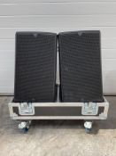 2 x D B Audiotechnik E12 speaker cabinets and flightcase