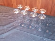 8 x 6oz Champagne flutes