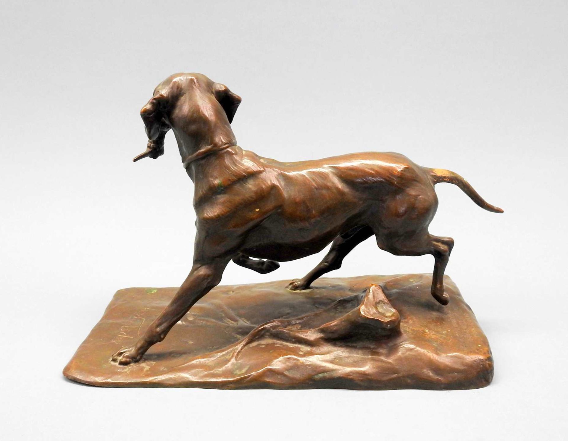 Emil Wünsche, 1864 Greiffenberg - 1938 RottachBronze, dunkel patiniert. Jagdhund mit - Image 3 of 8