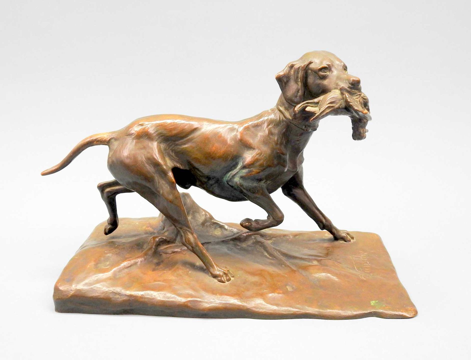 Emil Wünsche, 1864 Greiffenberg - 1938 RottachBronze, dunkel patiniert. Jagdhund mit