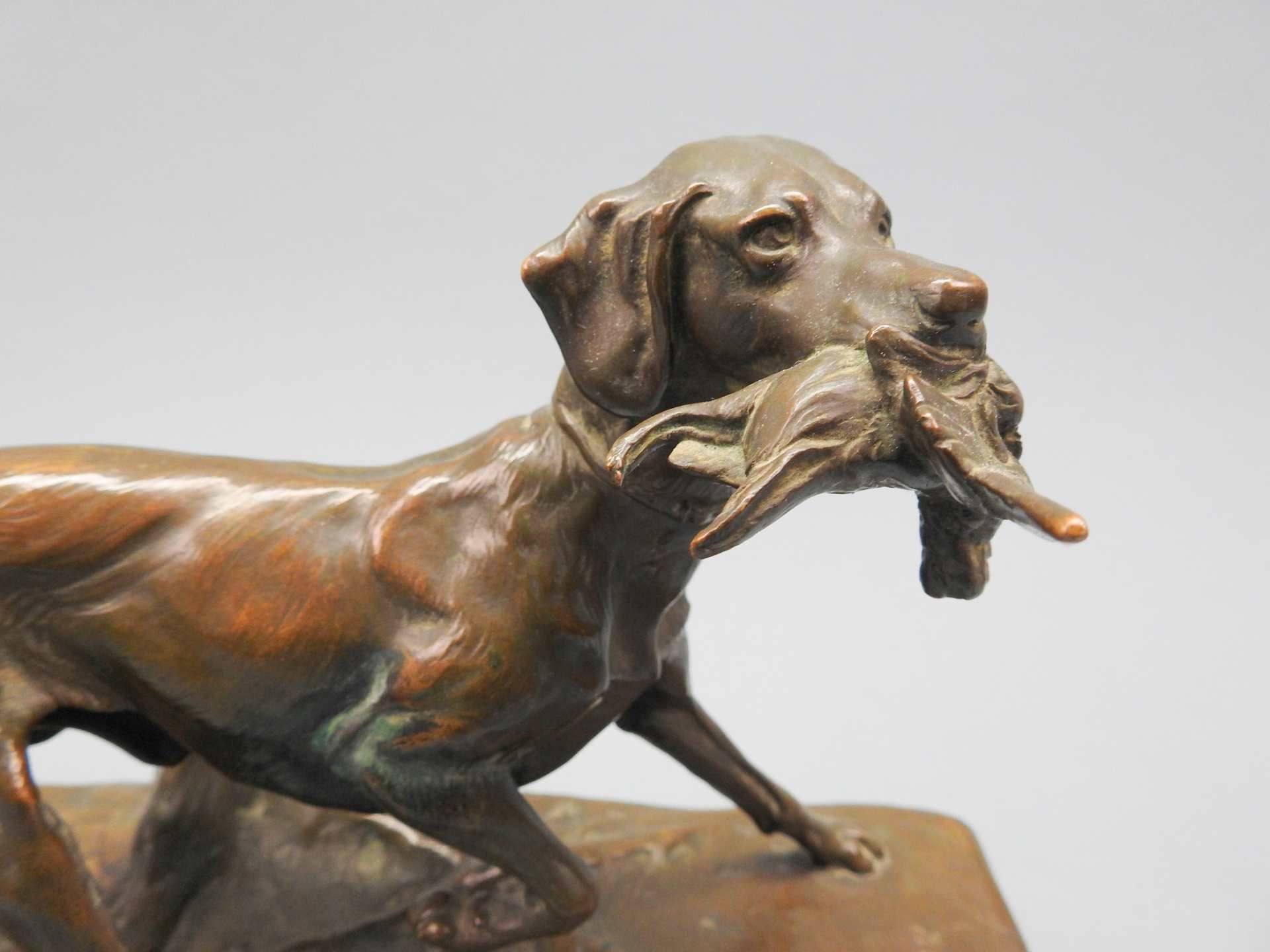 Emil Wünsche, 1864 Greiffenberg - 1938 RottachBronze, dunkel patiniert. Jagdhund mit - Image 7 of 8