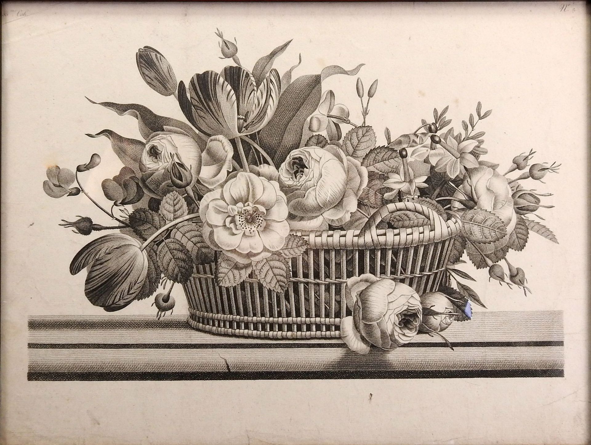 Sammlung von Blumen-Lithographien Lithographie/Papier. Darstellung von Tulpen-, Rosen- - Bild 13 aus 13