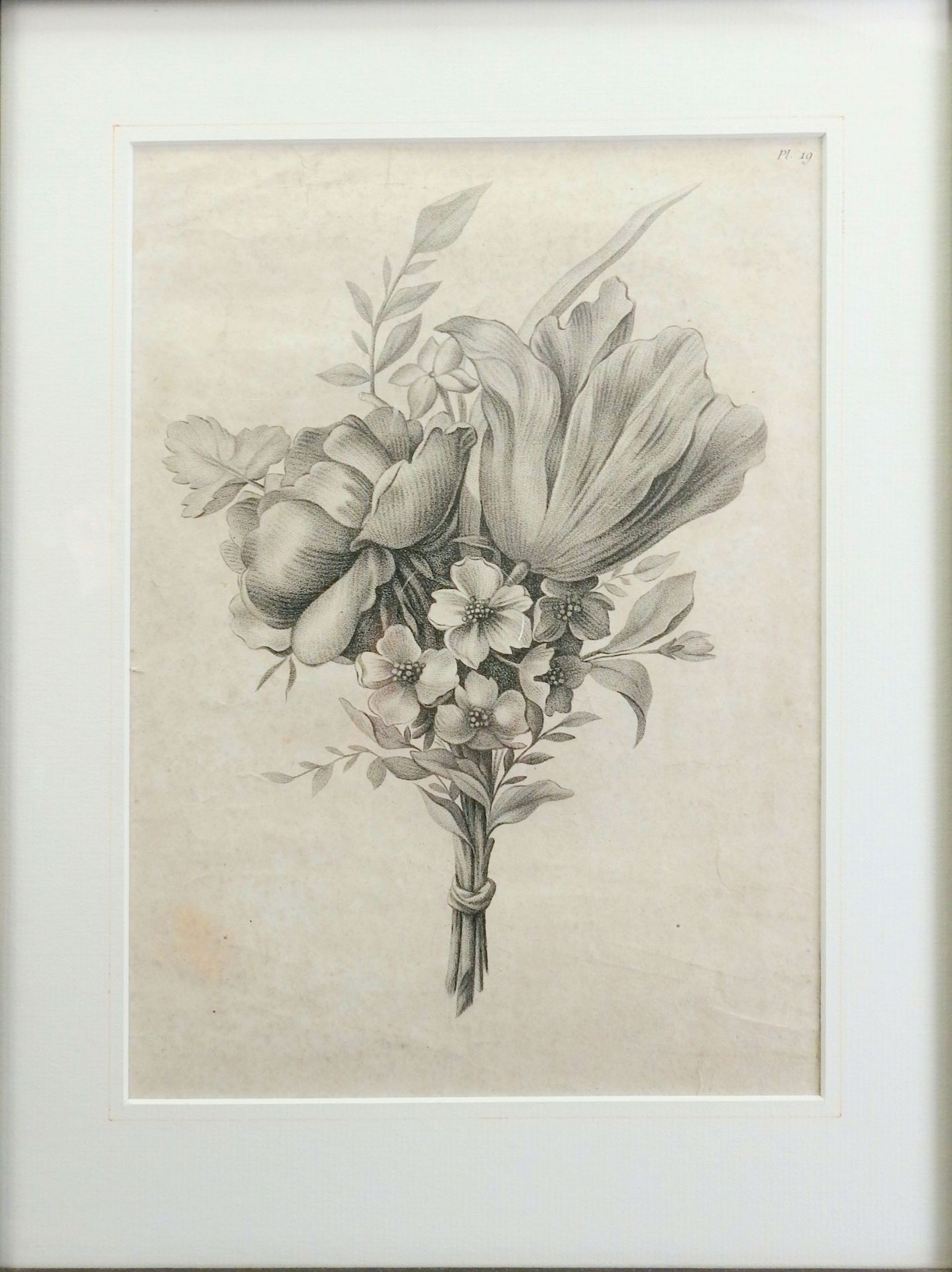 Sammlung von Blumen-Lithographien Lithographie/Papier. Darstellung von Tulpen-, Rosen- - Bild 2 aus 13