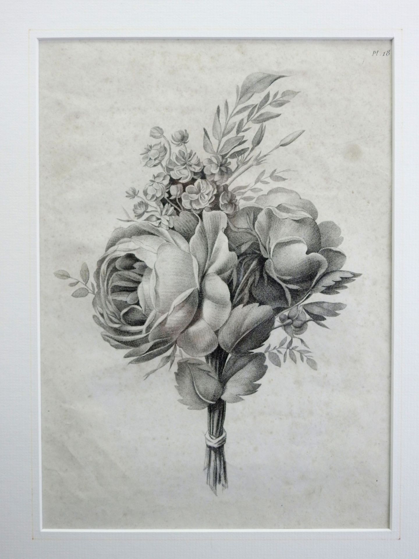 Sammlung von Blumen-Lithographien Lithographie/Papier. Darstellung von Tulpen-, Rosen- - Bild 3 aus 13