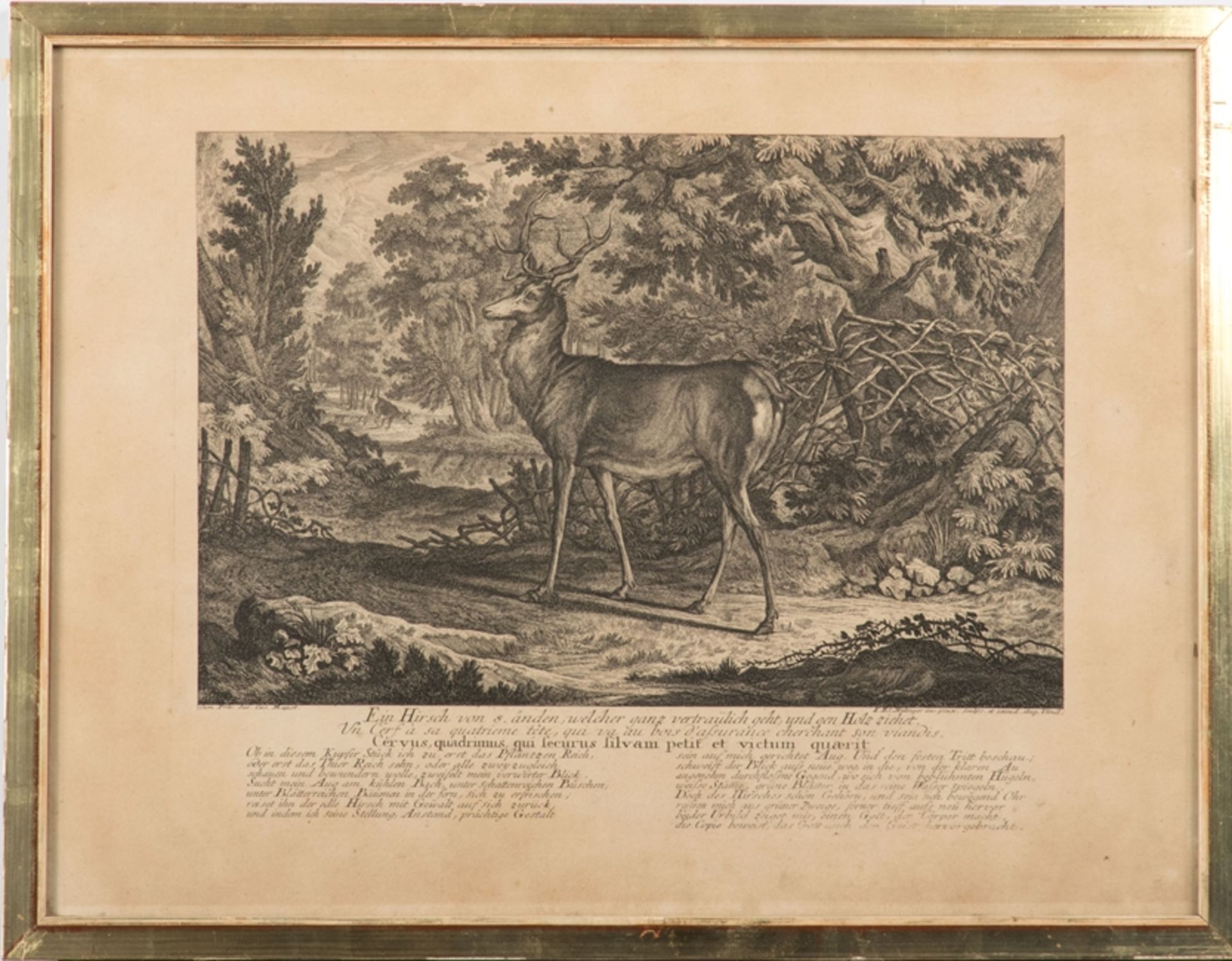 Ridinger, Johann Elias (1698 - 1767 ) - Image 2 of 2