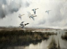Schatz, Manfred: Auffliegende Enten im Moor