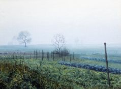 Tripp, Jan Peter:  Nebel über dem Bauerngarten