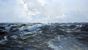 Buuren, Meeuwis van:  Möwen über den Wellen