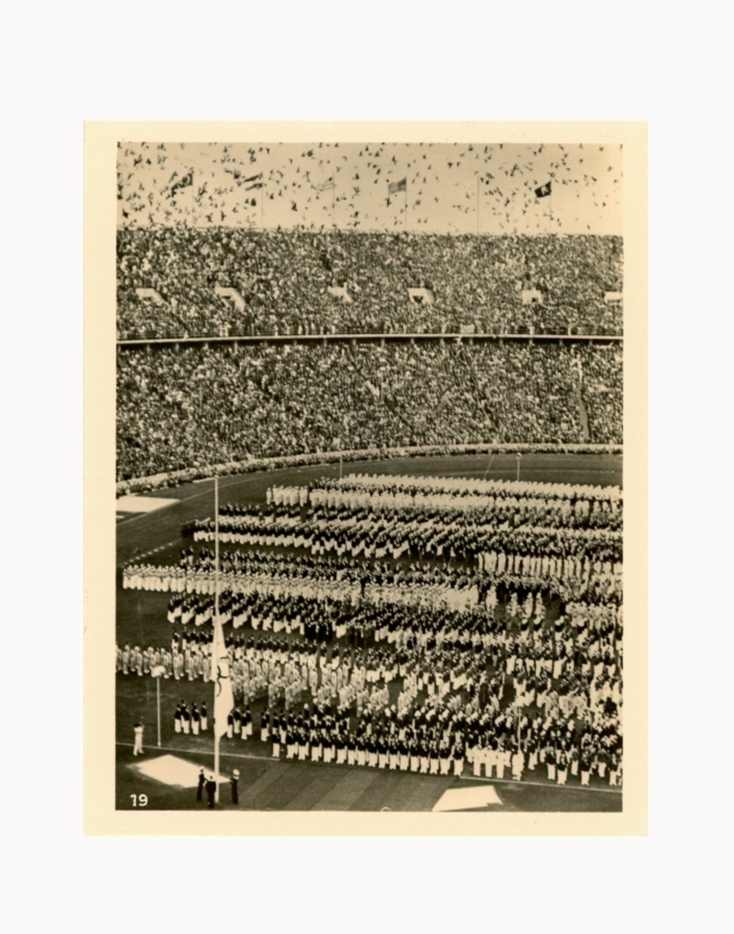 Fotograf der 30er Jahre des 20. Jh.: Olympiade 1936 - Image 7 of 10