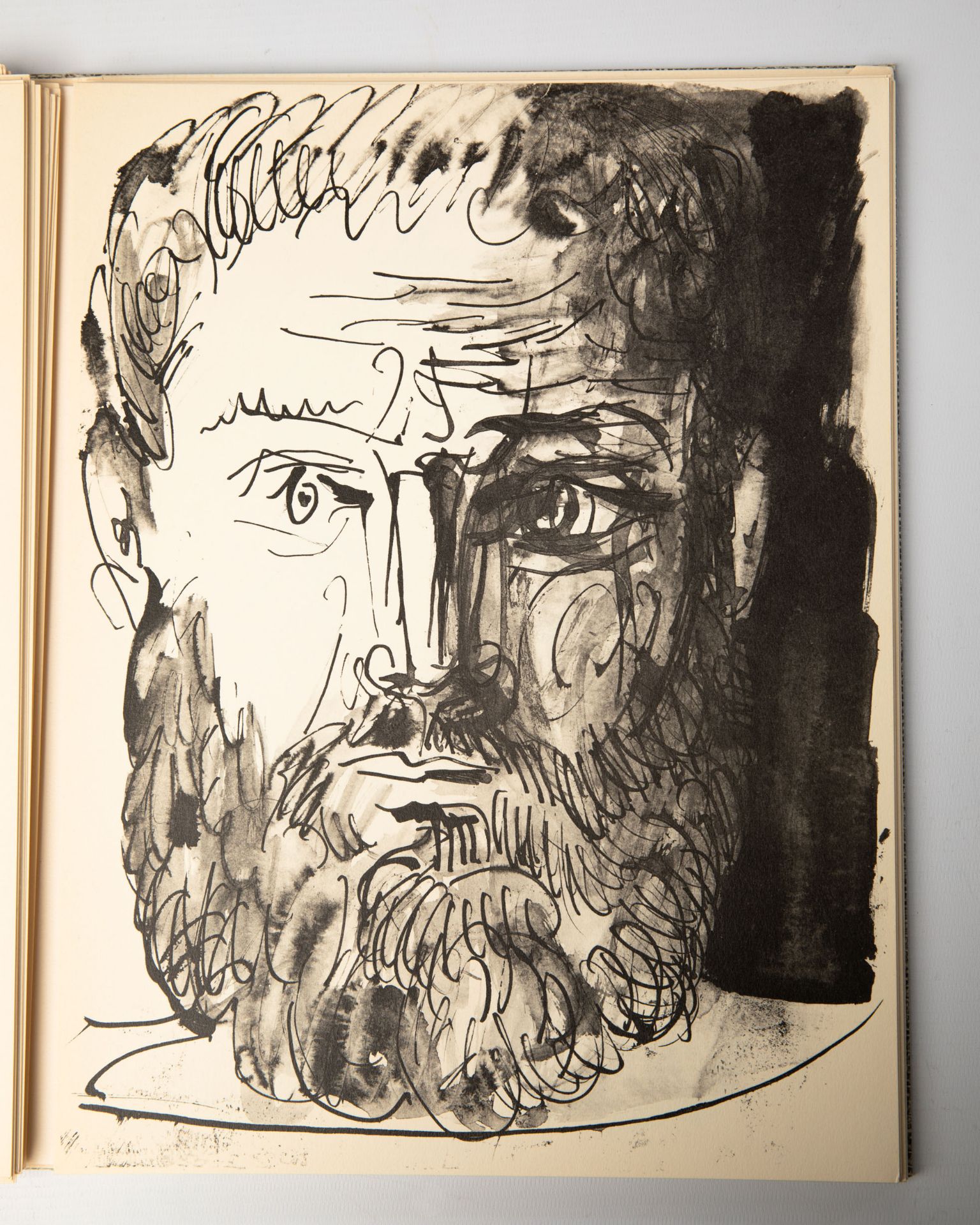 Pablo Picasso, 3 books: Buffon/ Picasso Lithograph Mourlot Vol. II and Vol. IV - Bild 19 aus 20
