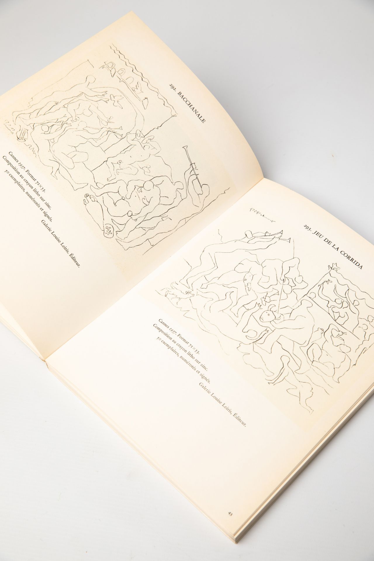 Pablo Picasso, 3 books: Buffon/ Picasso Lithograph Mourlot Vol. II and Vol. IV - Bild 5 aus 20