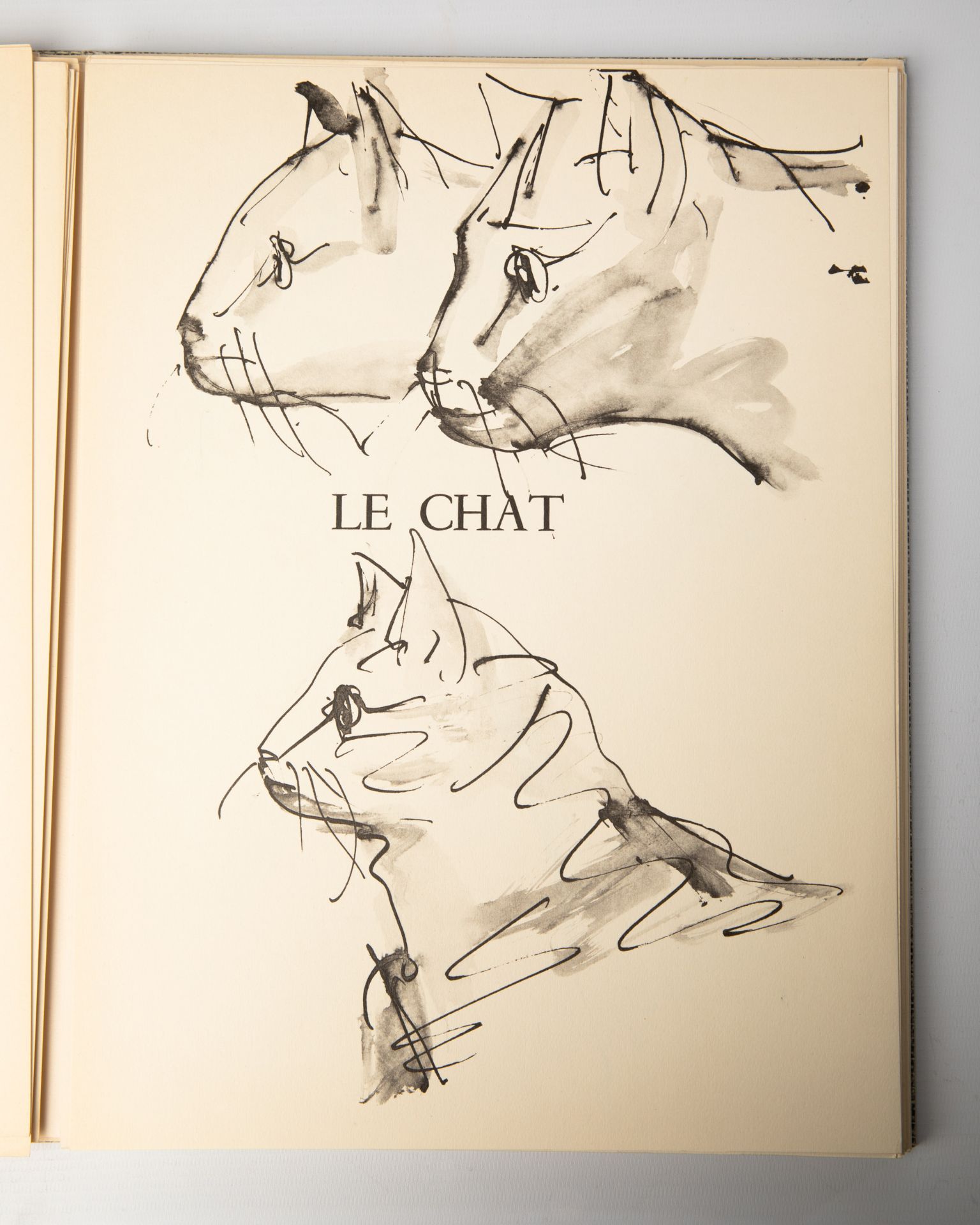 Pablo Picasso, 3 books: Buffon/ Picasso Lithograph Mourlot Vol. II and Vol. IV - Bild 18 aus 20