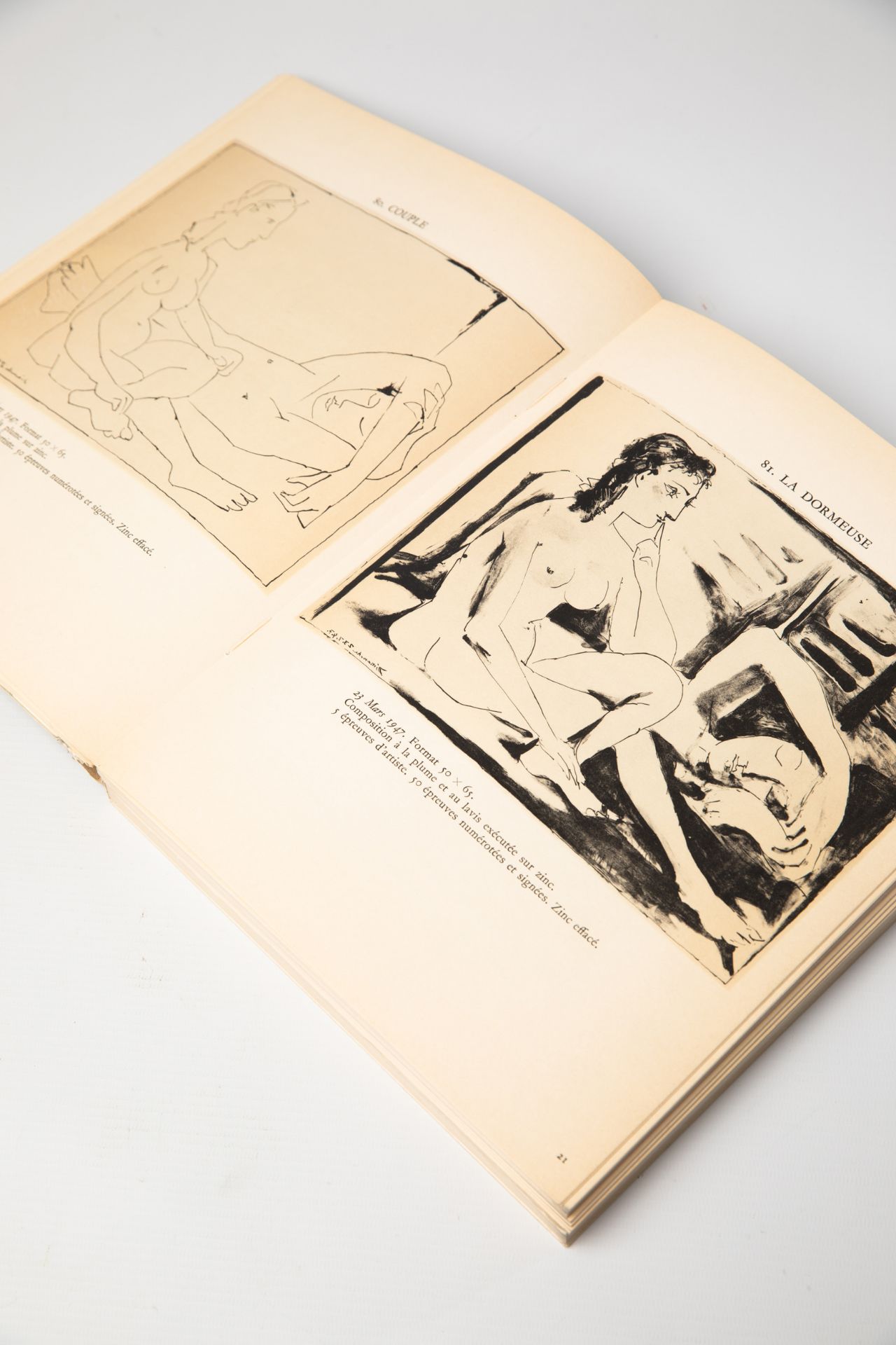 Pablo Picasso, 3 books: Buffon/ Picasso Lithograph Mourlot Vol. II and Vol. IV - Bild 11 aus 20