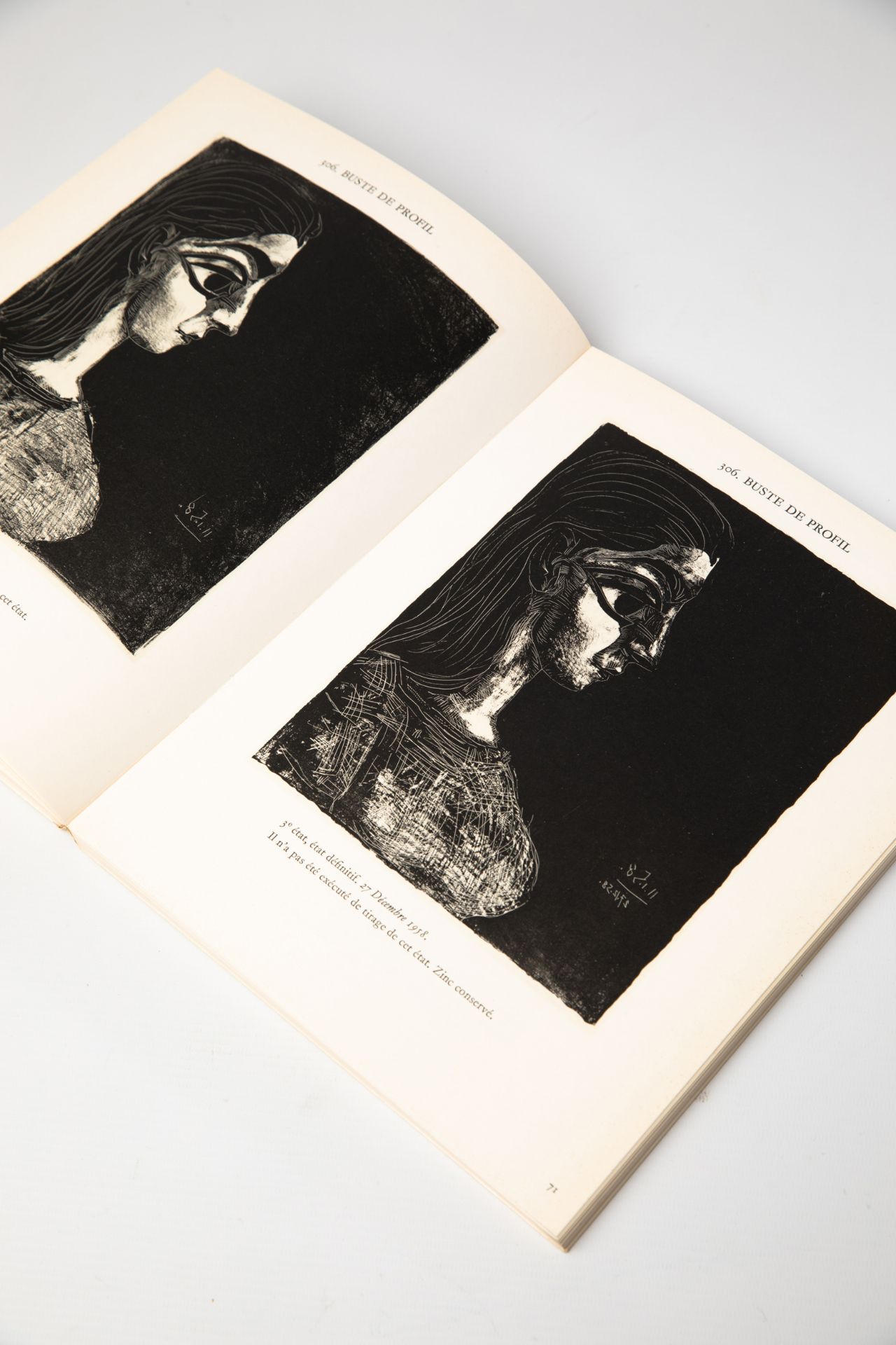 Pablo Picasso, 3 books: Buffon/ Picasso Lithograph Mourlot Vol. II and Vol. IV - Bild 6 aus 20