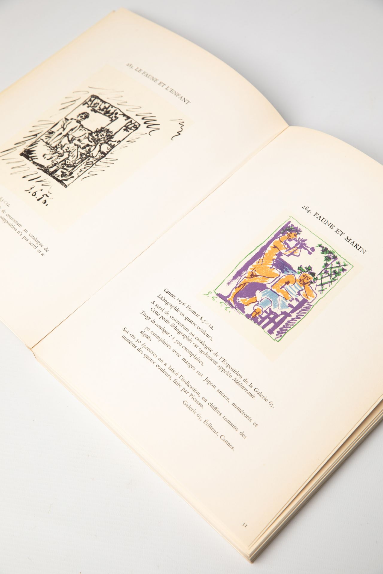 Pablo Picasso, 3 books: Buffon/ Picasso Lithograph Mourlot Vol. II and Vol. IV - Bild 4 aus 20