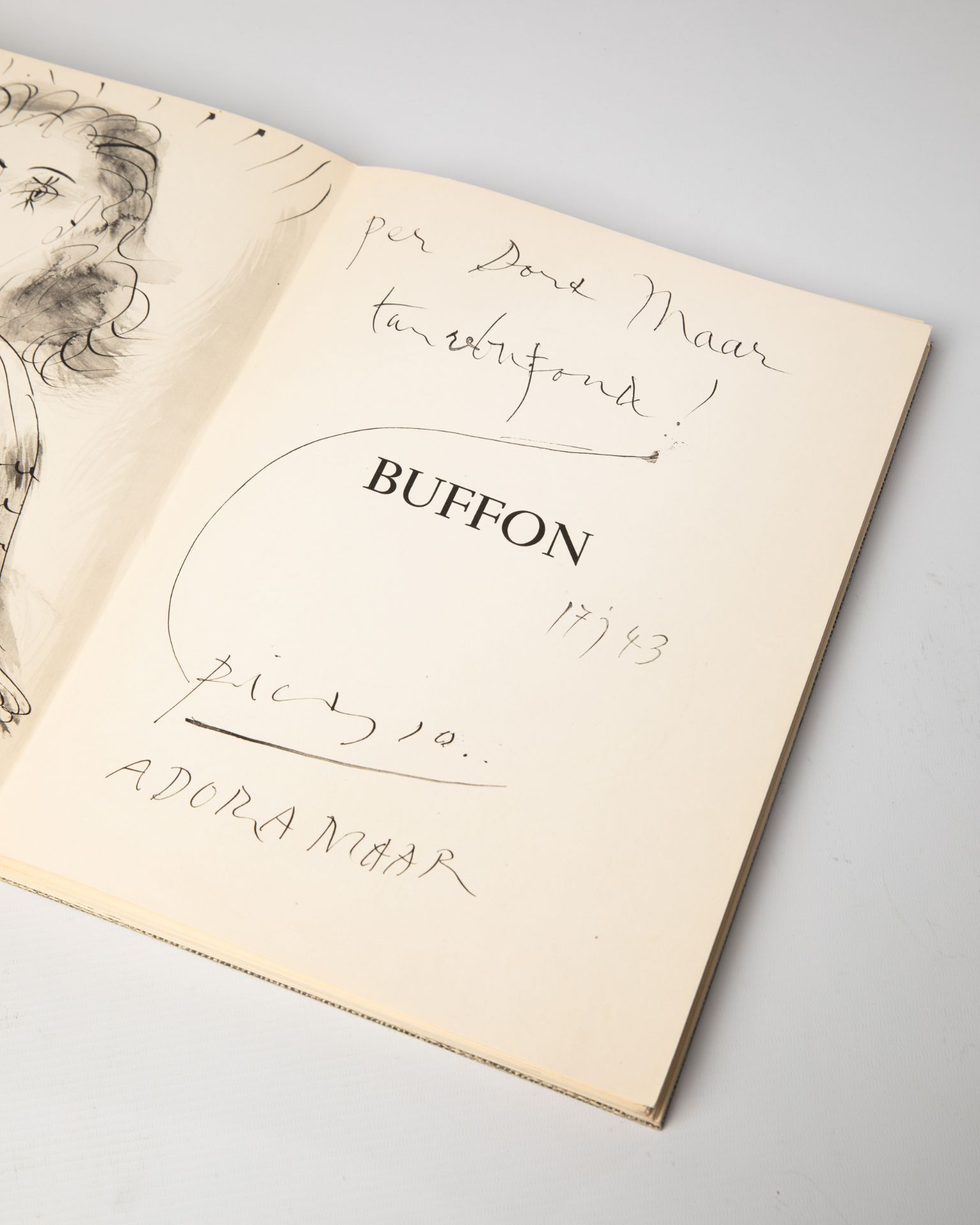 Pablo Picasso, 3 books: Buffon/ Picasso Lithograph Mourlot Vol. II and Vol. IV - Bild 16 aus 20