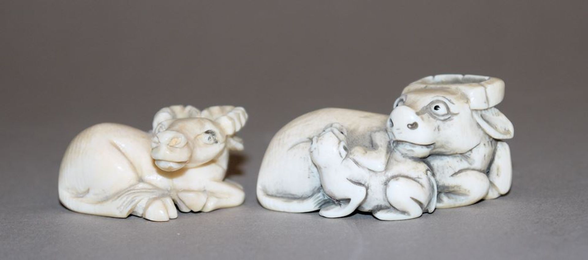 Zwei ruhende Büffel, zwei japanische Elfenbein-Netsuke