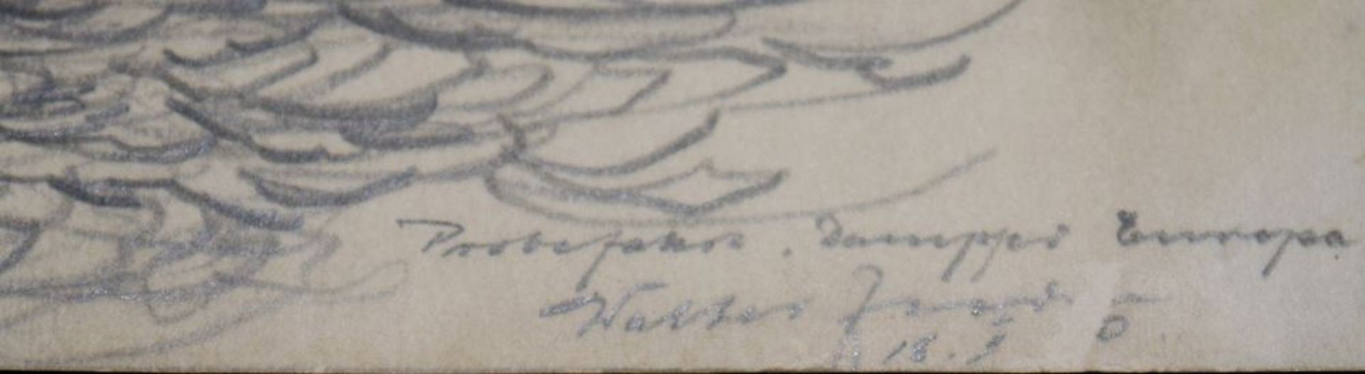 Walter Zeeden, " Probefahrt Dampfer Europa in Hamburg am 22.2.1930 ", Zeichnung - Bild 2 aus 2