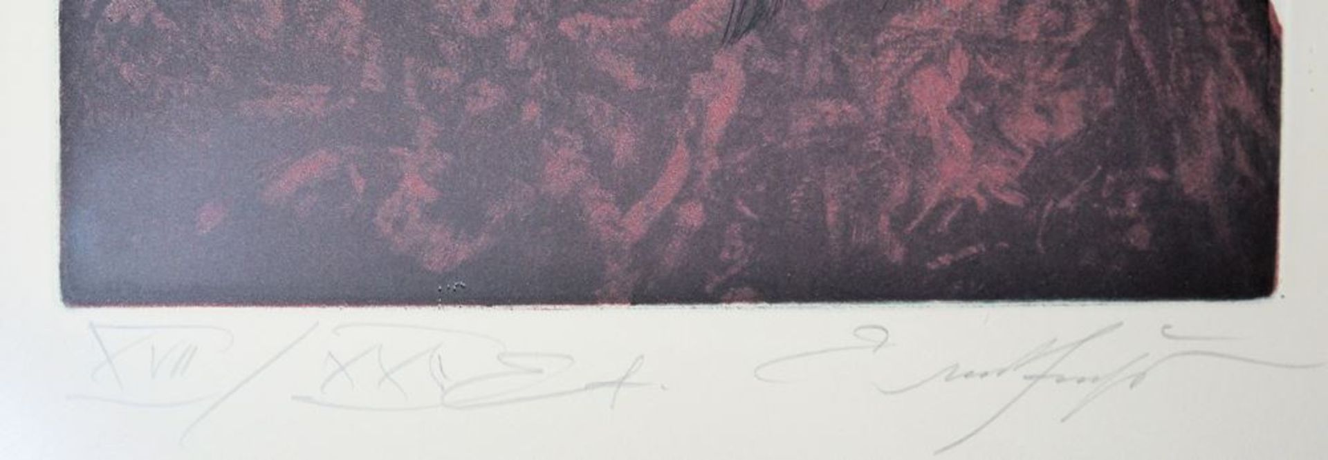 Ernst Fuchs, "Skorpion IV", Farbradierung, gerahmt - Image 3 of 3