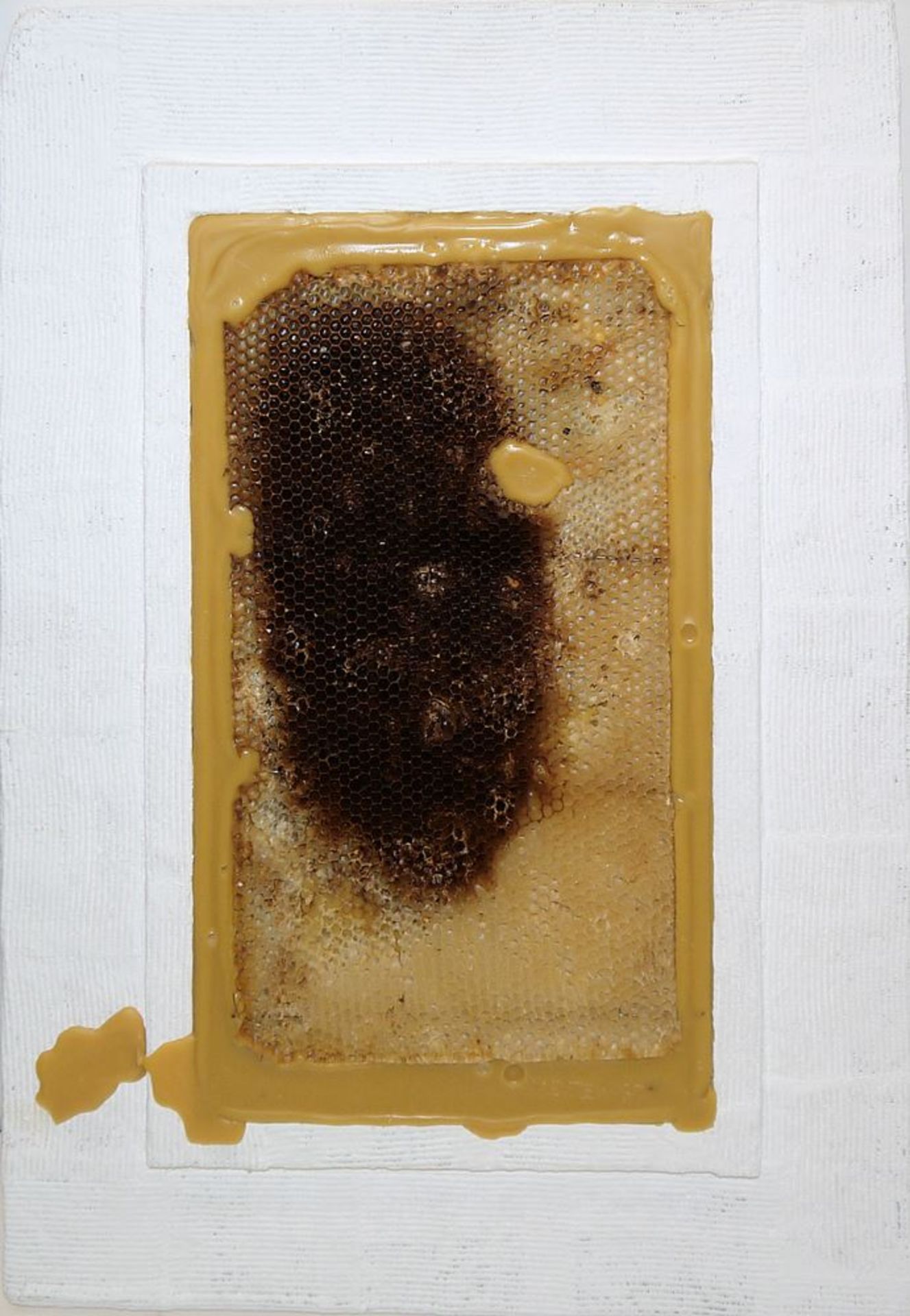 Johannes Metten, "Mutationen in Wachs", 2 signierte Wachs-Reliefs mit Bienenwaben von 1997