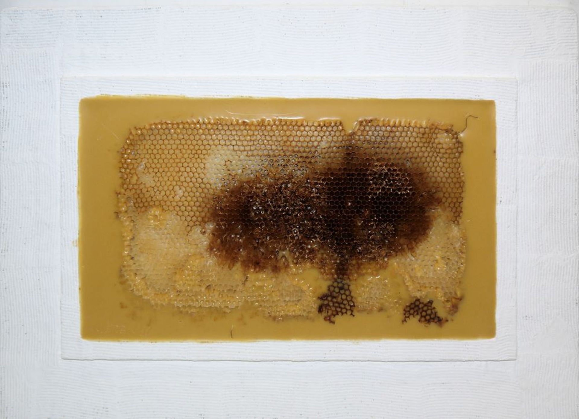 Johannes Metten, "Mutationen in Wachs", 2 signierte Wachs-Reliefs mit Bienenwaben von 1997 - Image 4 of 6