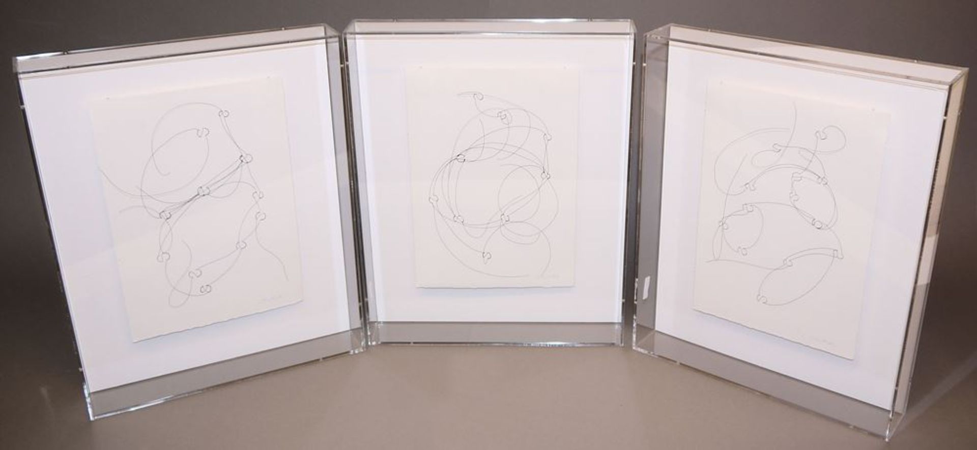 Brigitte Schwacke, "Innere Welten", 3 signierte Arbeiten aus legiertem Draht, je in Plexiglaskasten