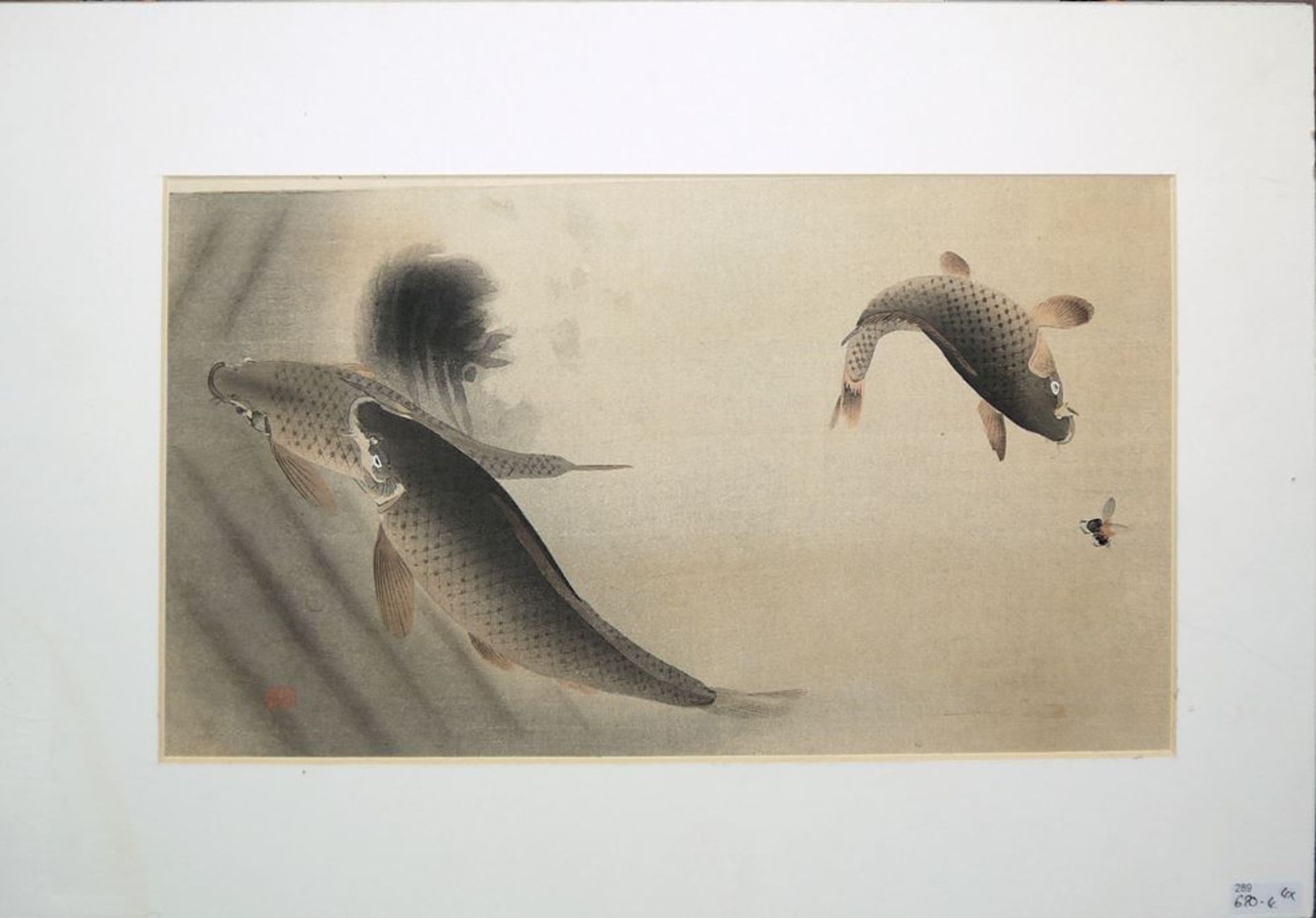 Koson Ohara, Kono Bairei u.a., vier japanische Farbholzschnitte mit Tieren - Image 3 of 3