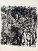 Richter, Leopoldo(1896 Großauheim/Hanau - 1984 Bogotá) Lithographie. Palmenwald. R. u. sign