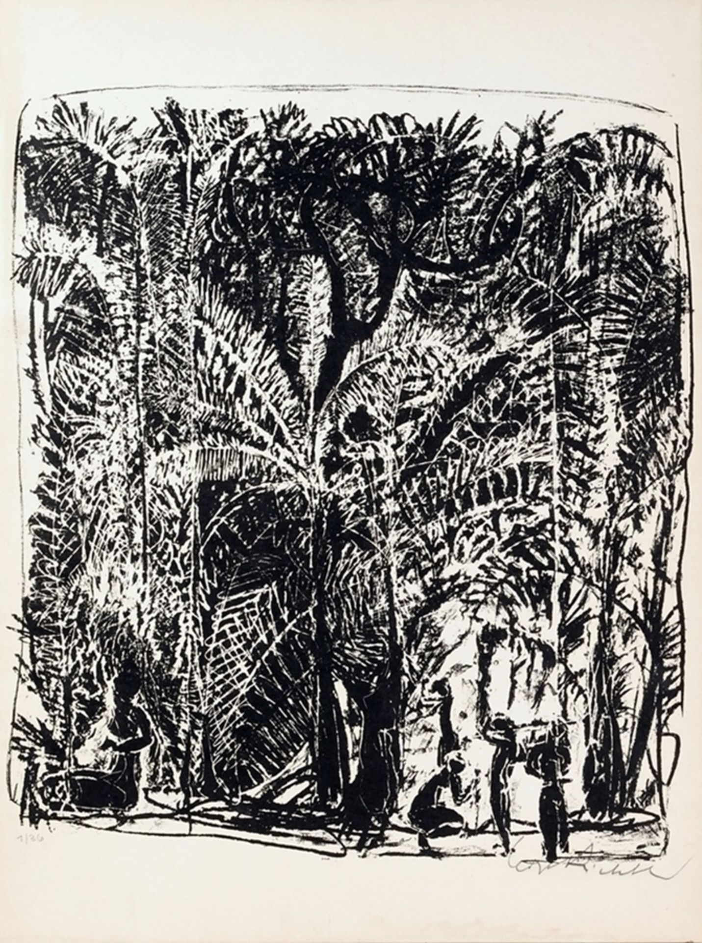 Richter, Leopoldo(1896 Großauheim/Hanau - 1984 Bogotá) Lithographie. Palmenwald. R. u. sign