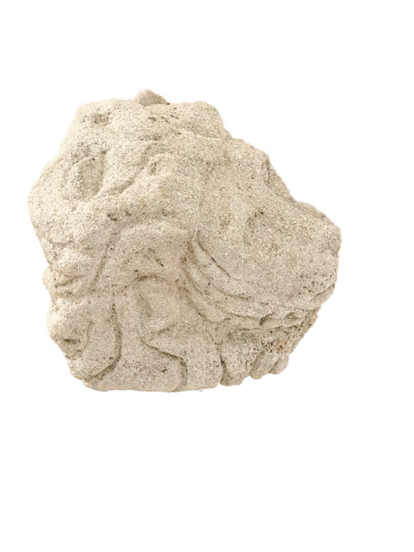 Renaissace Löwenkopf aus Sandstein - Bild 6 aus 7