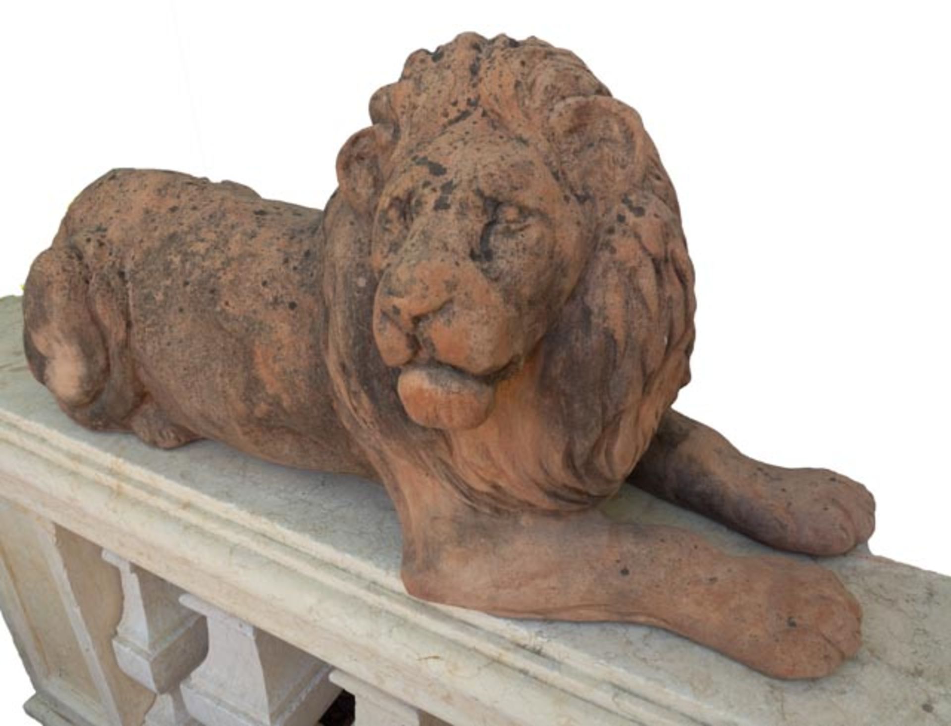 Paar große Terracotta-Löwen - Bild 3 aus 4