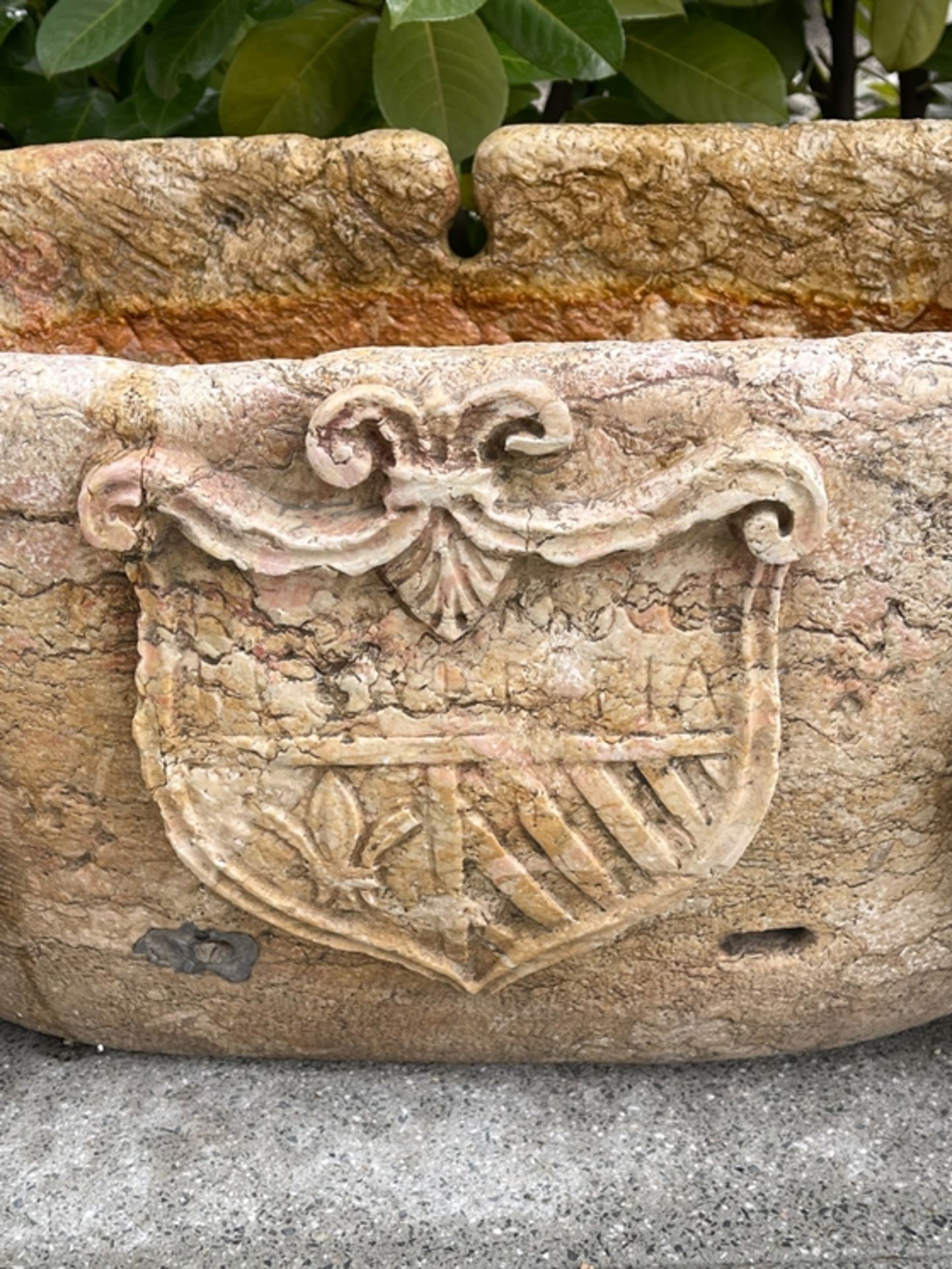 Granittrog mit Löwenköpfen und Wappen - Bild 6 aus 6