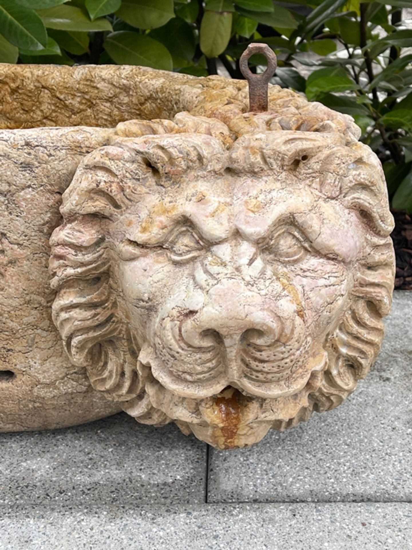 Granittrog mit Löwenköpfen und Wappen - Bild 5 aus 6