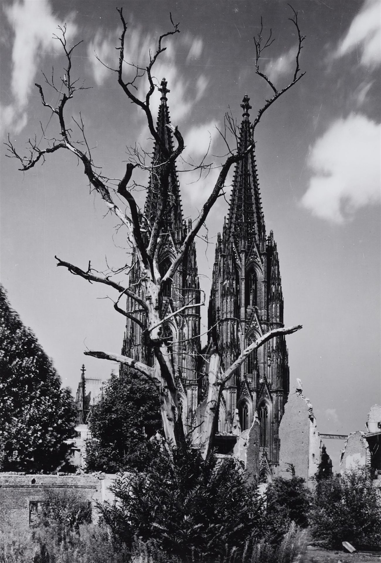 Karl Hugo Schmölz<BR>Kölner Dom