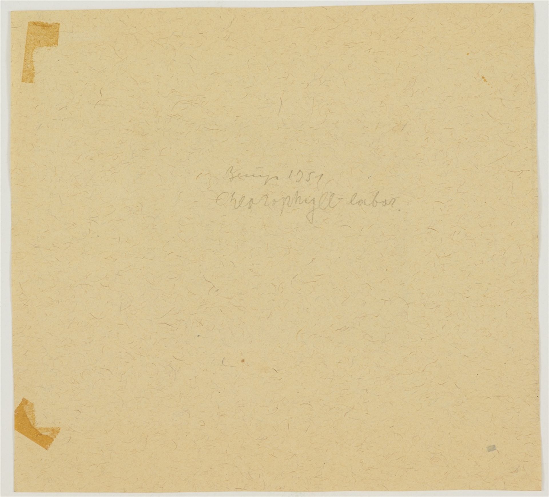 Joseph BeuysChlorophyll-Labor - Image 2 of 2