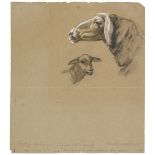 Franz MarcSchafzeichnung I. Verso: Schaf und grosses Schema eines Kuhkopfes