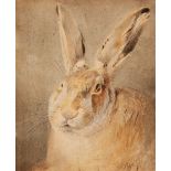 Johann Fischbach, Hase